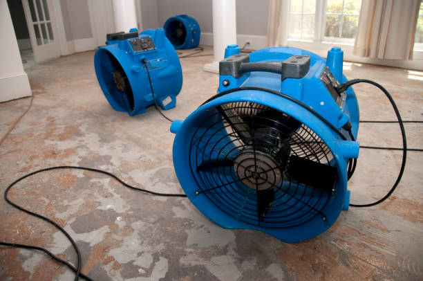 Best Water damage repair service  in Mendon, IL